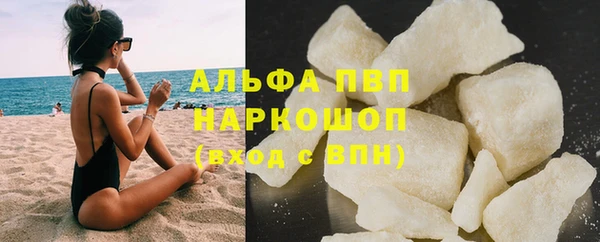 стаф Арсеньев