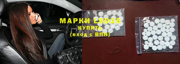 стаф Арсеньев