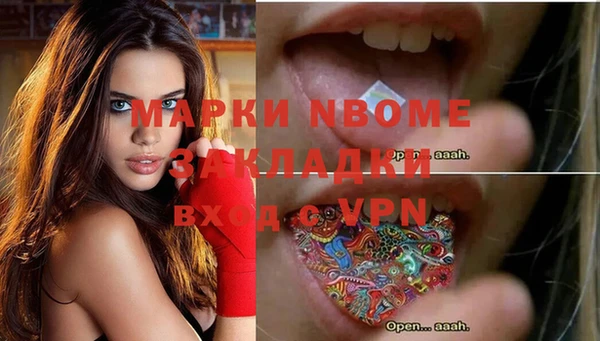 стаф Арсеньев