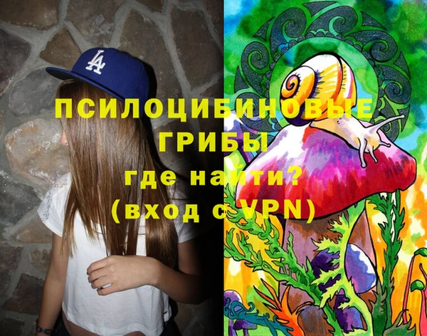 стаф Арсеньев