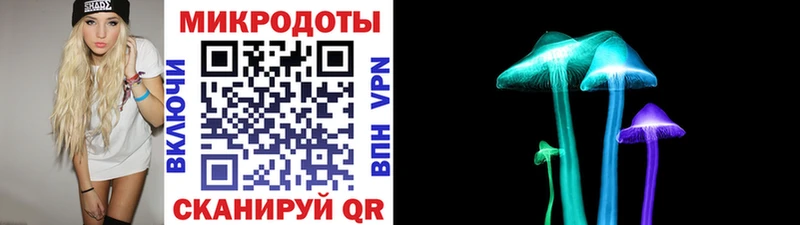Псилоцибиновые грибы Psilocybine cubensis Краснознаменск
